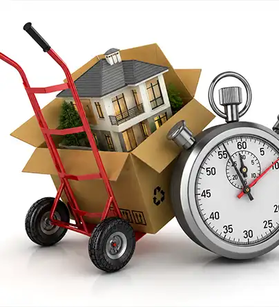 Timely-Delivery